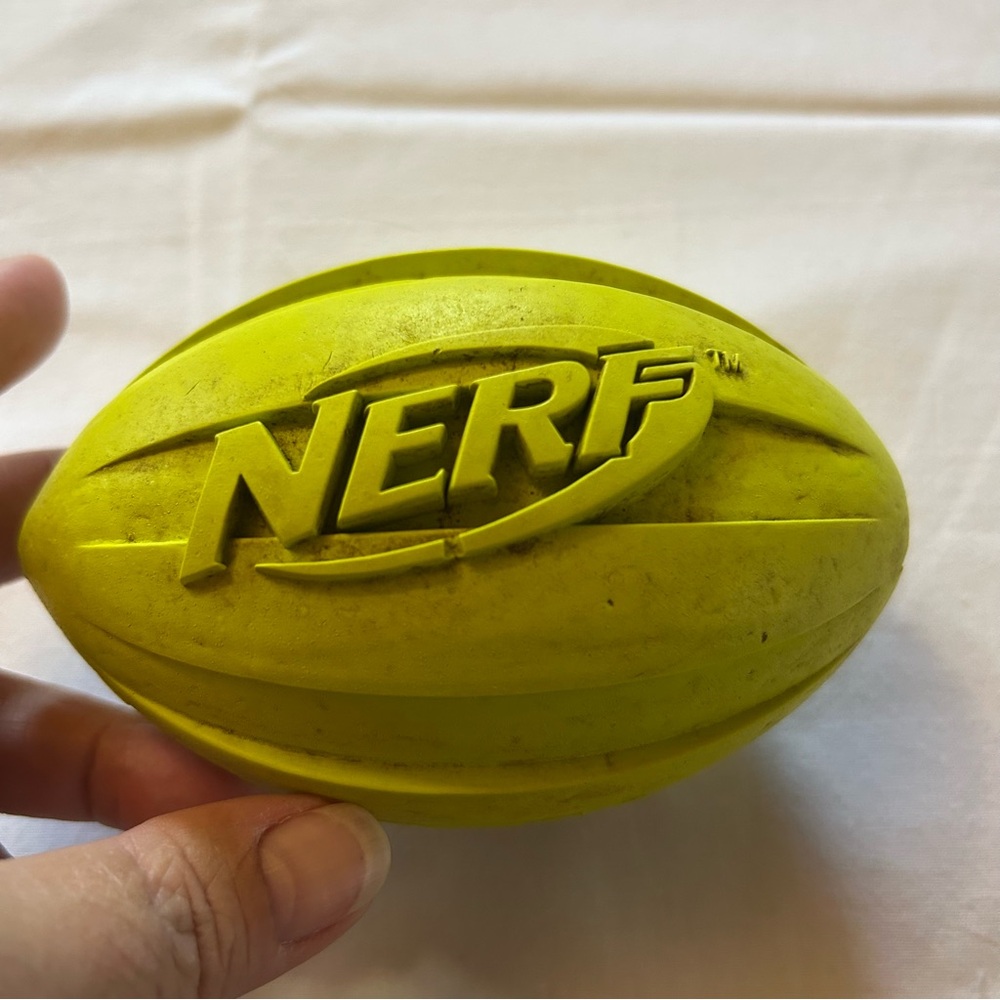 🐕‍🦺3 for $20 - Nerf Football